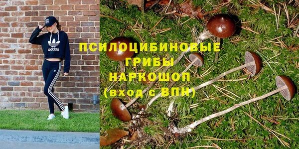 герыч Надым