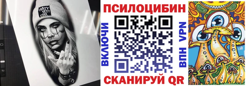 Купить закладки  Малая Вишера  Галлюциногенные грибы мицелий 